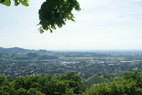 Hügellandschaft der Vorberge bei Oberkirch am Ausgang des Renchtals