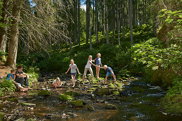 Rötenbachschlucht bei Friedenweiler. © Hochschwarzwald Tourismus GmbH