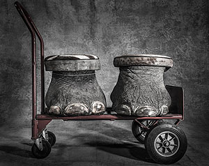 „Konfisziert“ lautet der Titel des eindrücklichen Fotos der Gesamtsiegerin Britta Jaschinski (© GDT 2017 / Britta Jaschinski).