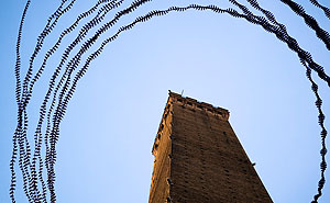 AIRLINES - Flugspuren von Dohlen (links) und Schwarzmilanen (unten). Foto: Iskiographie Lother Schiffler.