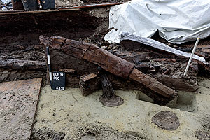 Unterhalb des Holzbefundes zeichnen sich die Pfahllöcher im hellen Sand ab (Quelle: LfD, W. Hohl)