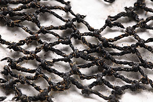 Fischernetz aus Faserlein, Hornstaad-Hörnle 1A, ca. 3900 v. Chr. 