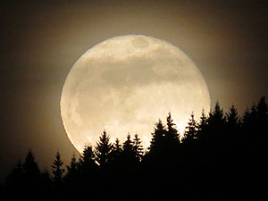 Vollmond © Hubertus Ulsamer