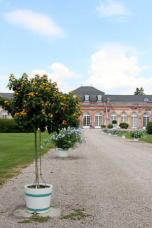 Schwetzingen, Diagonale des Kreisparterres mit Zirkelbau