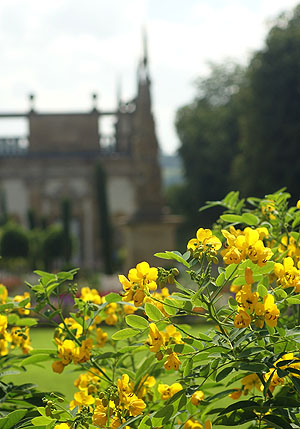 Im Weikersheimer Schlossgarten