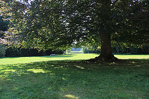 Der englische Landschaftspark von Schloss Favorite