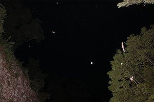 Meistens hält man die Kamera nicht dahin, wo gerade eine Fledermaus fliegt. Manchmal doch. Foto: kulturer.be