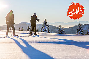 Begeistert und bewusst im Lebensraum der Wildtiere unterwegs zu sein, dafür setzt sich die Initiative „bewusstWild“ ein. (© Sebastian Schröder-Esch)