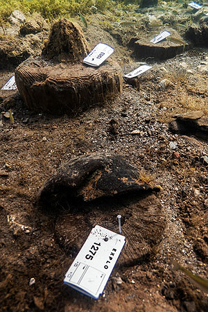 Ploča Michovgrad, Ohridsee, Nordmazedonien (2018–2019). Situation am Seegrund mit Holzpfählen von versunkenen prähistorischen Gebäuden.