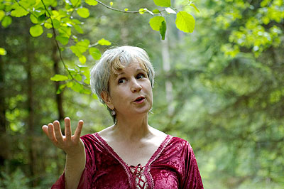 Märchen udn Sagen aus dem Schwarzwald